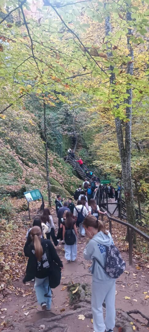 IMG-20251030-WA0018 (1)