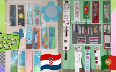 Međunarodni projekt razmjene straničnika